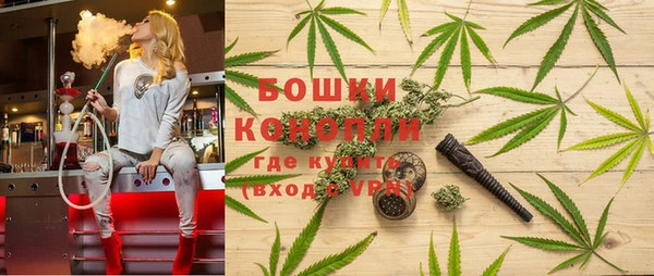 твердый Алзамай